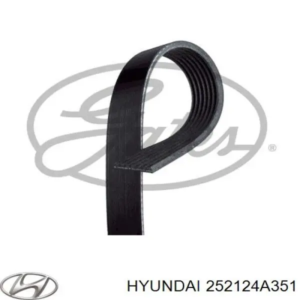 Comprar 252124A351 Hyundai/Kia Correa trapezoidal