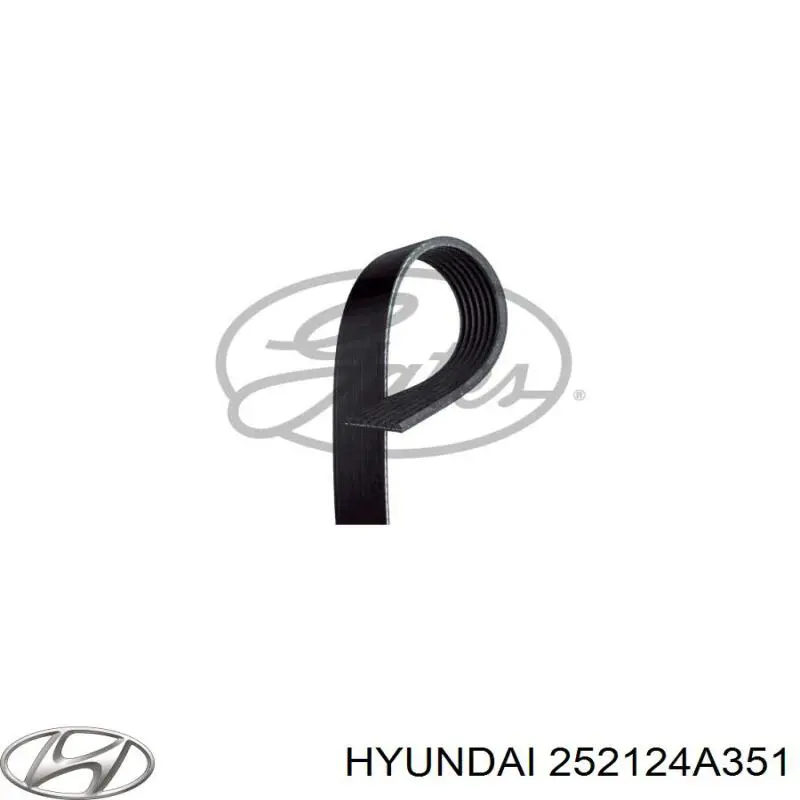 Correa de transmisión trapezoidal Hyundai/Kia 252124A351 precio, desde 22,30 EUR