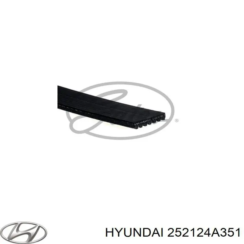 Correa de alternador 252124A351 Hyundai/Kia