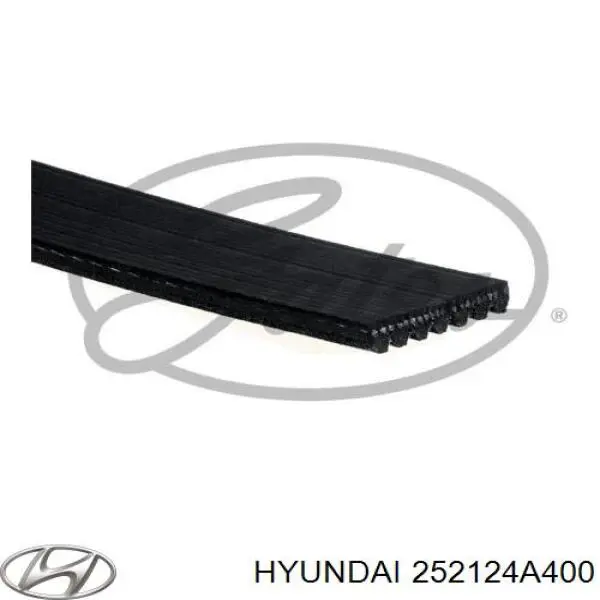 Correa de alternador 252124A400 Hyundai/Kia
