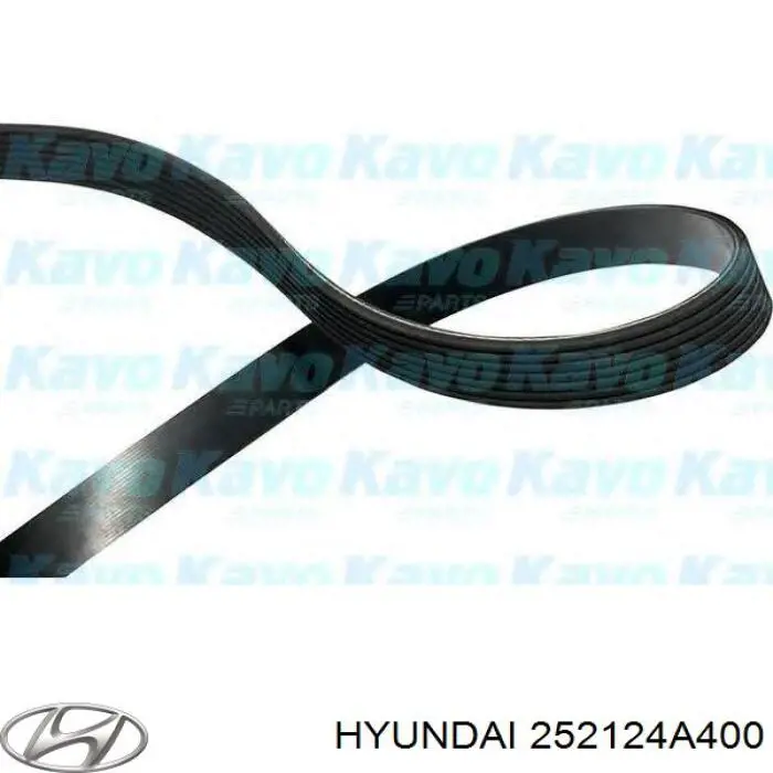 252124A400 Hyundai/Kia correa trapezoidal