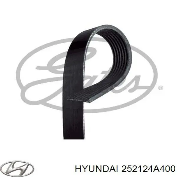 Comprar 252124A400 Hyundai/Kia Correa trapezoidal
