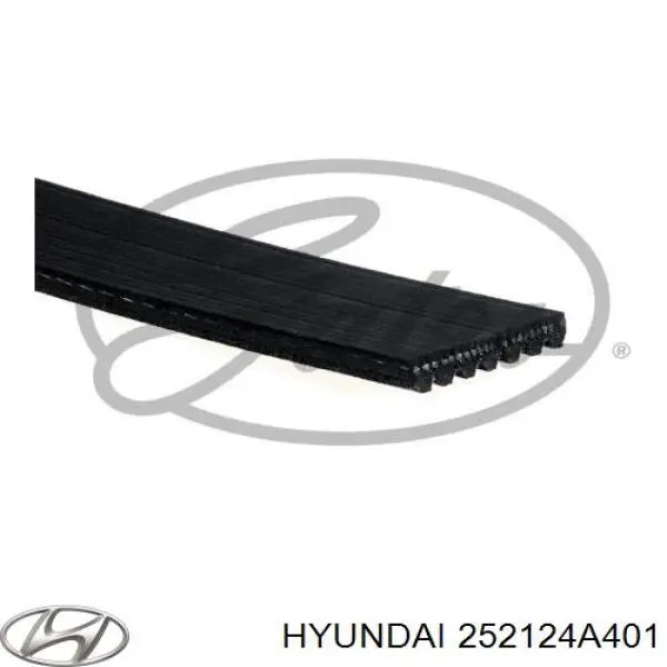 252124A401 Hyundai/Kia correa trapezoidal