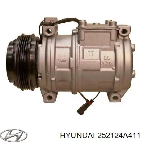 252124A411 Hyundai/Kia Correa poly v