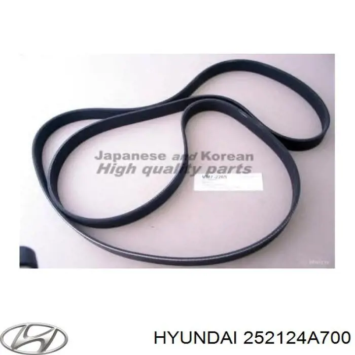 Comprar 252124A700 Hyundai/Kia Correa trapezoidal