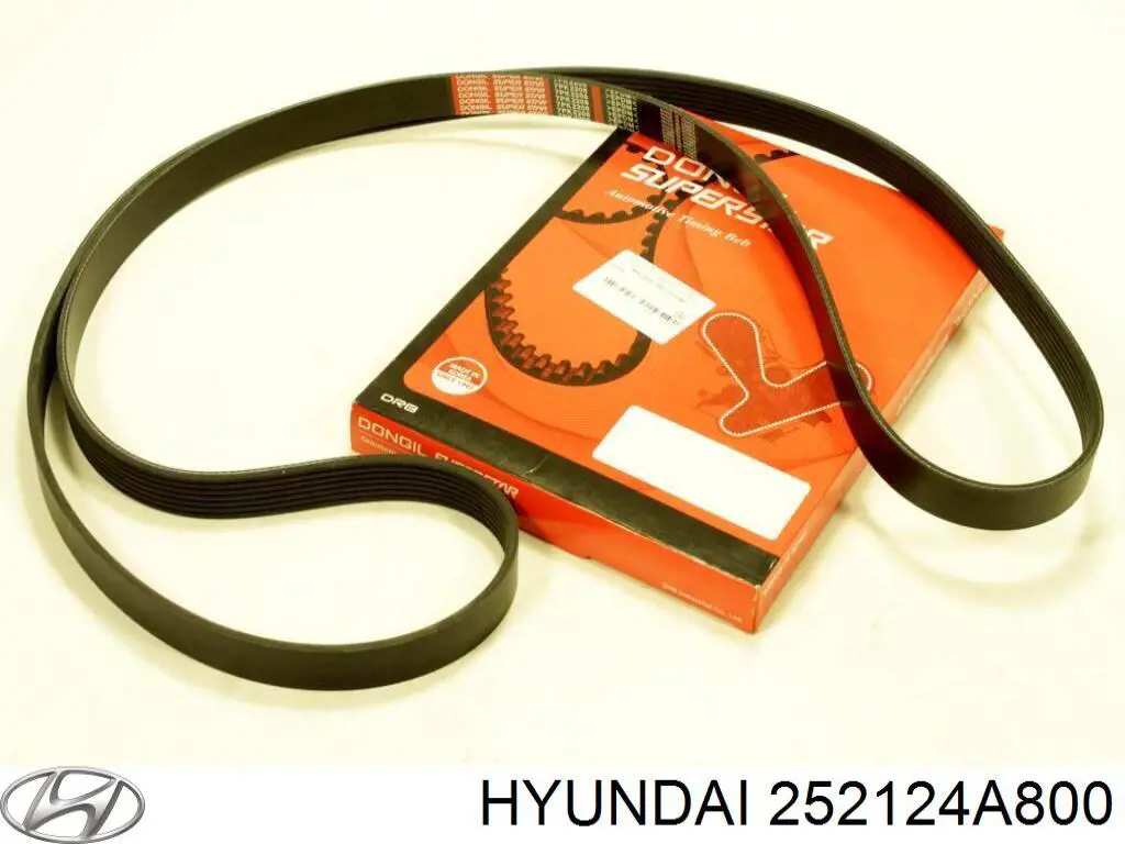Correa de alternador 252124A800 Hyundai/Kia