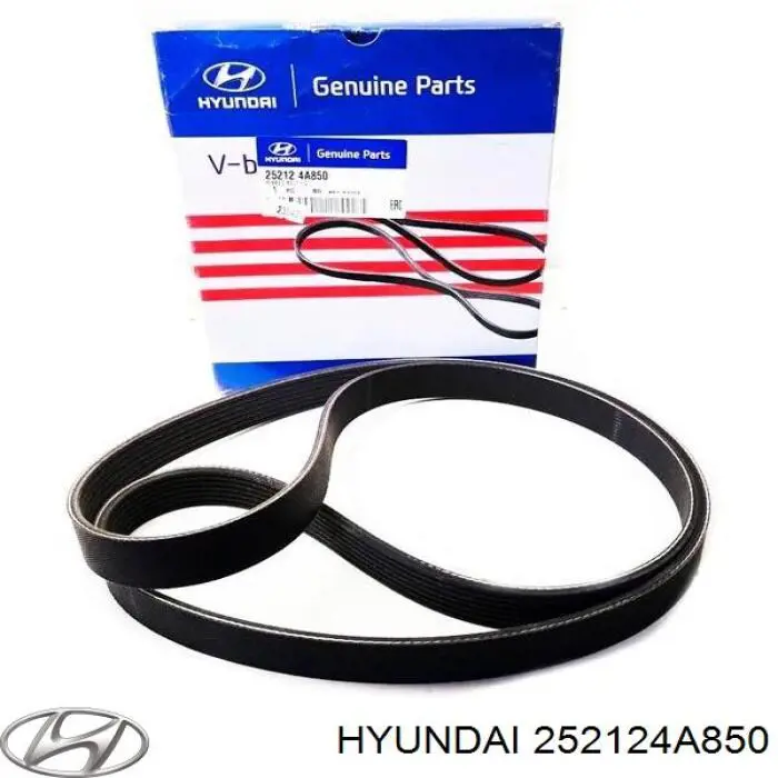 252124A850 Hyundai/Kia Correa poly v