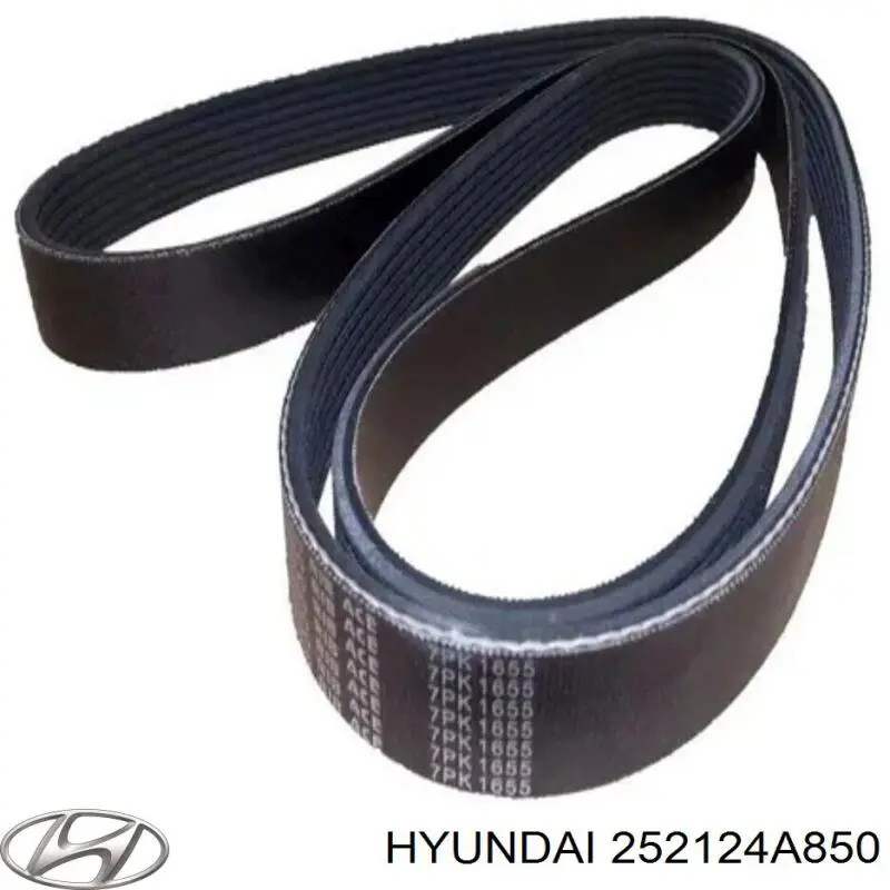 Correa de transmisión trapezoidal Hyundai/Kia 252124A850 precio, desde 26,45 EUR