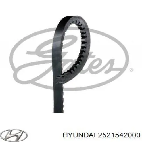 Comprar 2521542000 Hyundai/Kia Correa trapezoidal