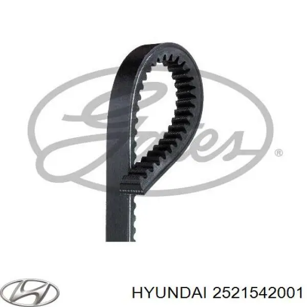 2521542001 Hyundai/Kia correa trapezoidal