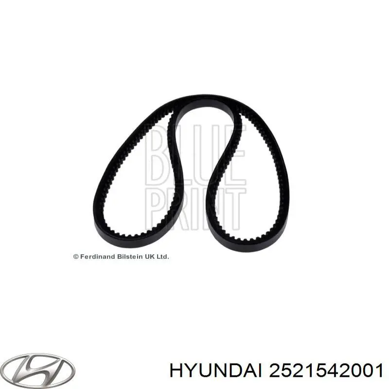 2521542001 Hyundai/Kia Correa poly v