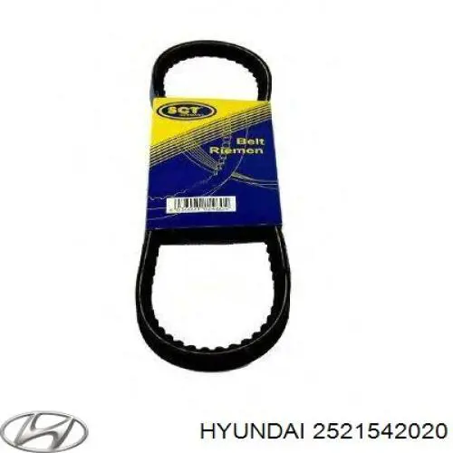 2521542020 Hyundai/Kia correa trapezoidal