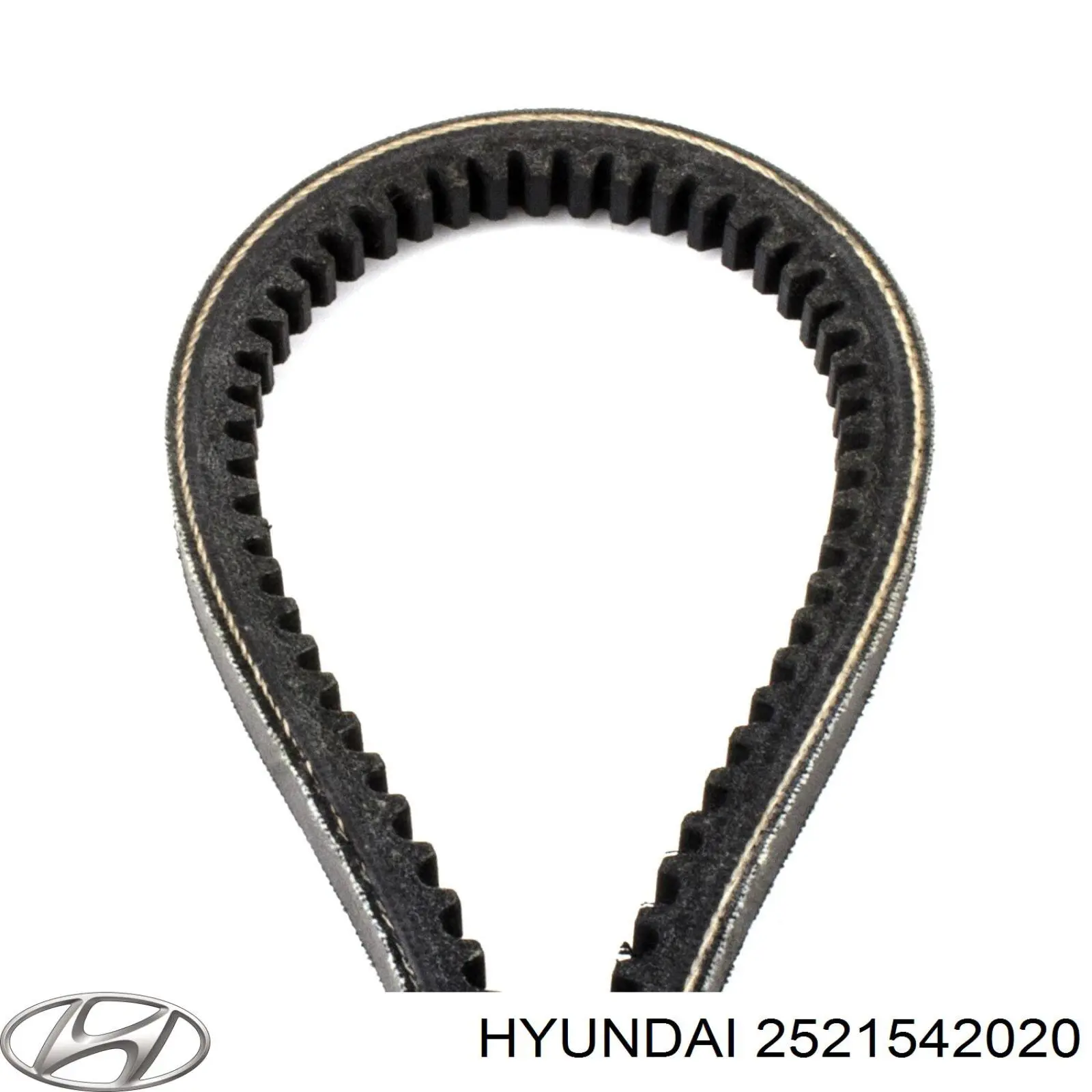 Correa de transmisión trapezoidal Hyundai/Kia 2521542020 precio, desde 7,09 EUR