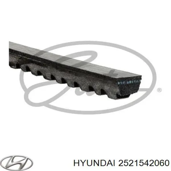 Correa de transmisión trapezoidal Hyundai/Kia 2521542060 precio, desde 5,22 EUR