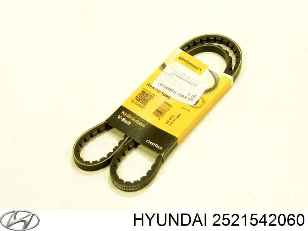 Correa accesorios Hyundai/Kia 2521542060