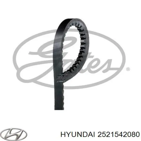Correa de alternador 2521542080 Hyundai/Kia