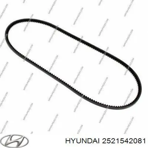 2521542081 Hyundai/Kia correa trapezoidal