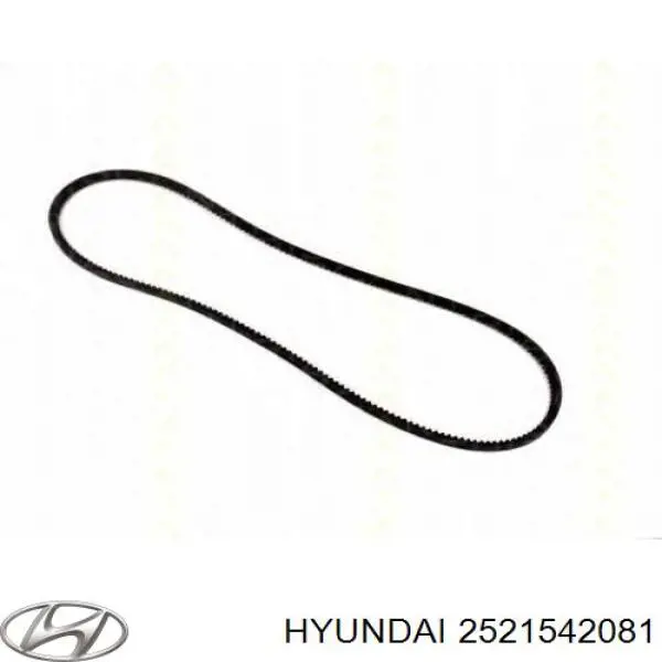 Correa de transmisión trapezoidal Hyundai/Kia 2521542081 precio, desde 9,98 EUR