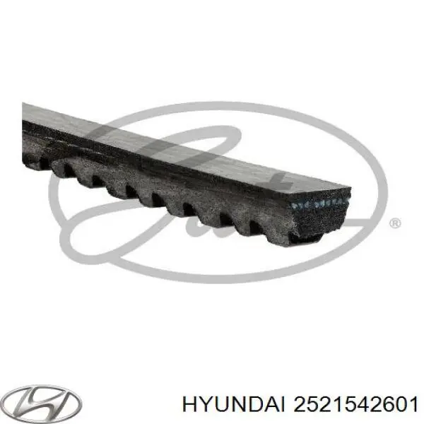 2521542601 Hyundai/Kia correa trapezoidal