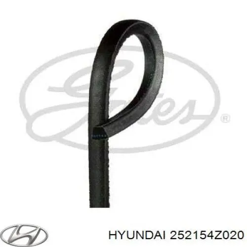 Correa de transmisión trapezoidal Hyundai/Kia 252154Z020 precio, desde 14,08 EUR
