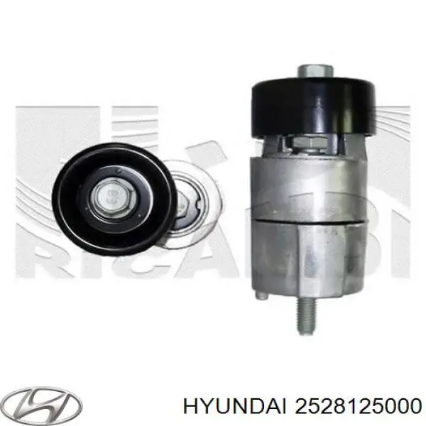 2528125000 Hyundai/Kia tensor de correa, correa poli v