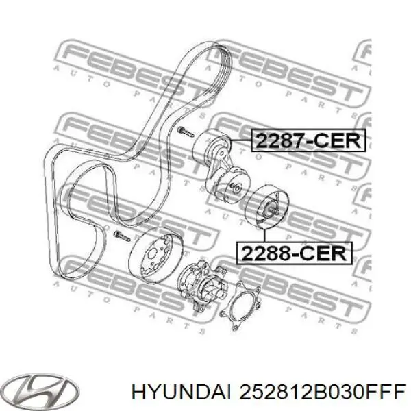 Tensor de la correa trapecial Hyundai/Kia 252812B030FFF precio, desde 36,07 EUR