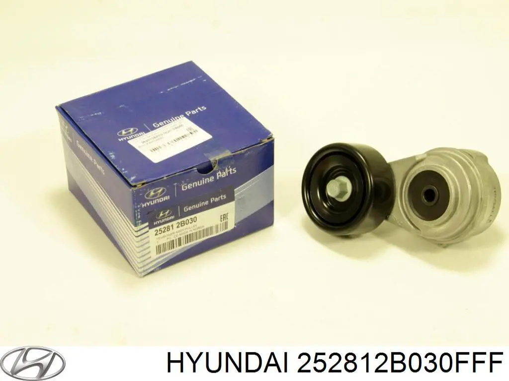 252812B030FFF Hyundai/Kia polea tensora, correa poli v