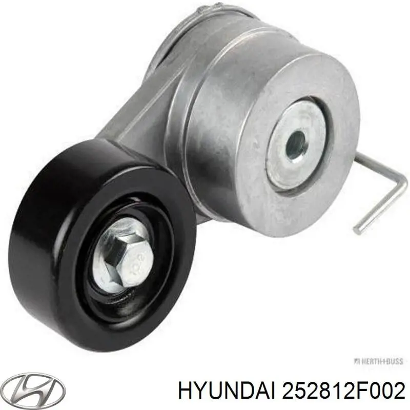 Tensor de la correa trapecial Hyundai/Kia 252812F002 precio, desde 46,46 EUR