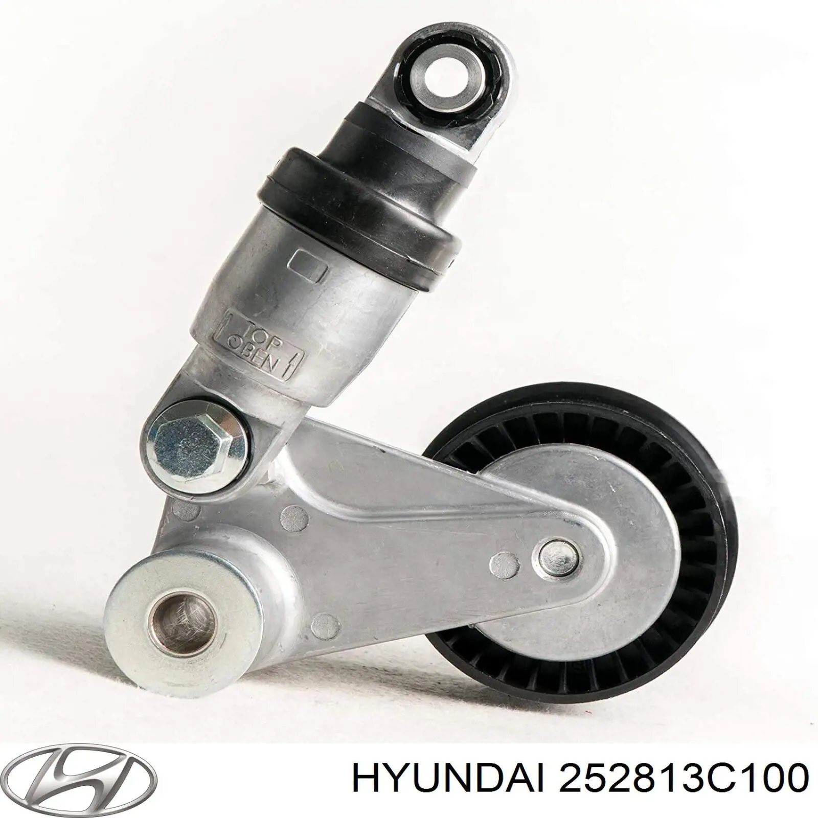 252813C100 Hyundai/Kia Tensor de correa de alternador