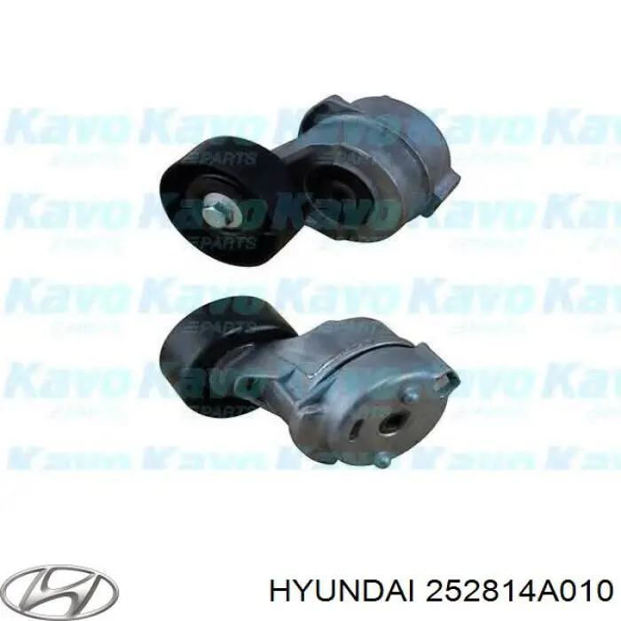 252814A010 Hyundai/Kia tensor de correa poli v