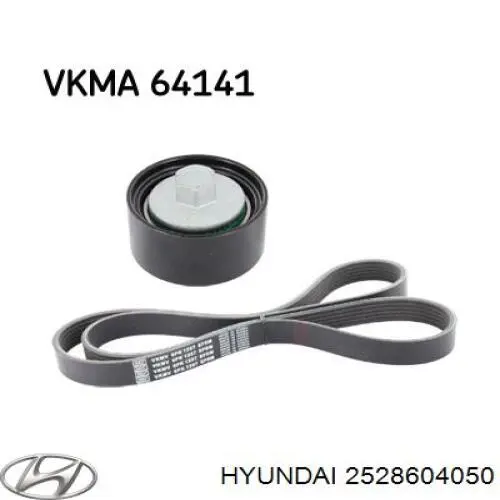 Comprar 2528604050 Hyundai/Kia Polea correa distribución