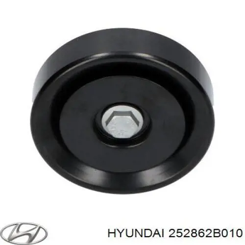 Polea inversión/guía, correa auxiliar servicios Hyundai/Kia 252862B010 precio, desde 20,34 EUR