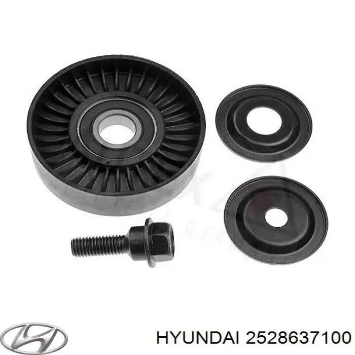 Rodillo guia Hyundai/Kia 2528637100
