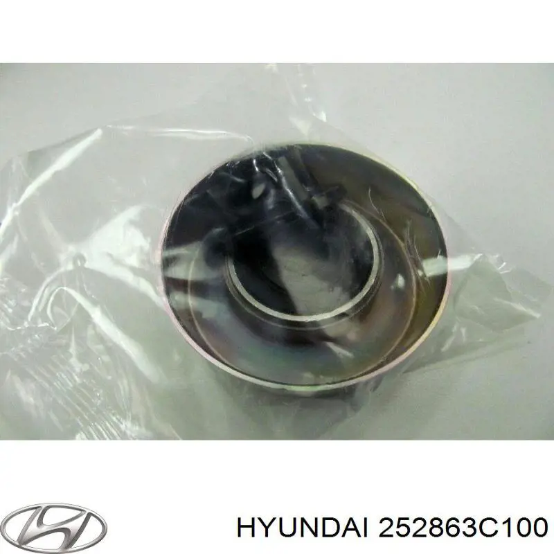 252863C100 Hyundai/Kia Polea guía correa poli V