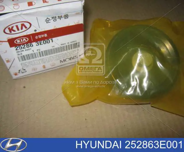 Polea inversión/guía, correa auxiliar servicios Hyundai/Kia 252863E001 precio, desde 23,19 EUR
