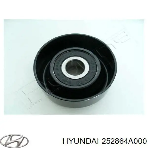 252864A000 Hyundai/Kia Polea tensora