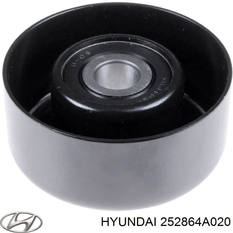 Polea inversión/guía, correa auxiliar servicios Hyundai/Kia 252864A020 precio, desde 15,97 EUR