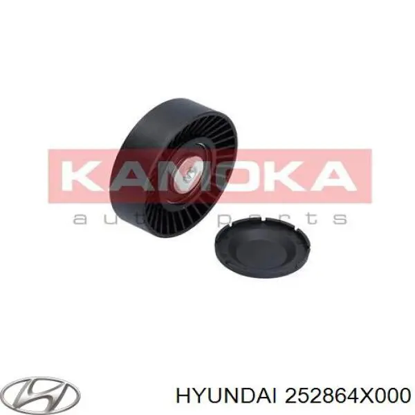 Rodillo guia Hyundai/Kia 252864X000