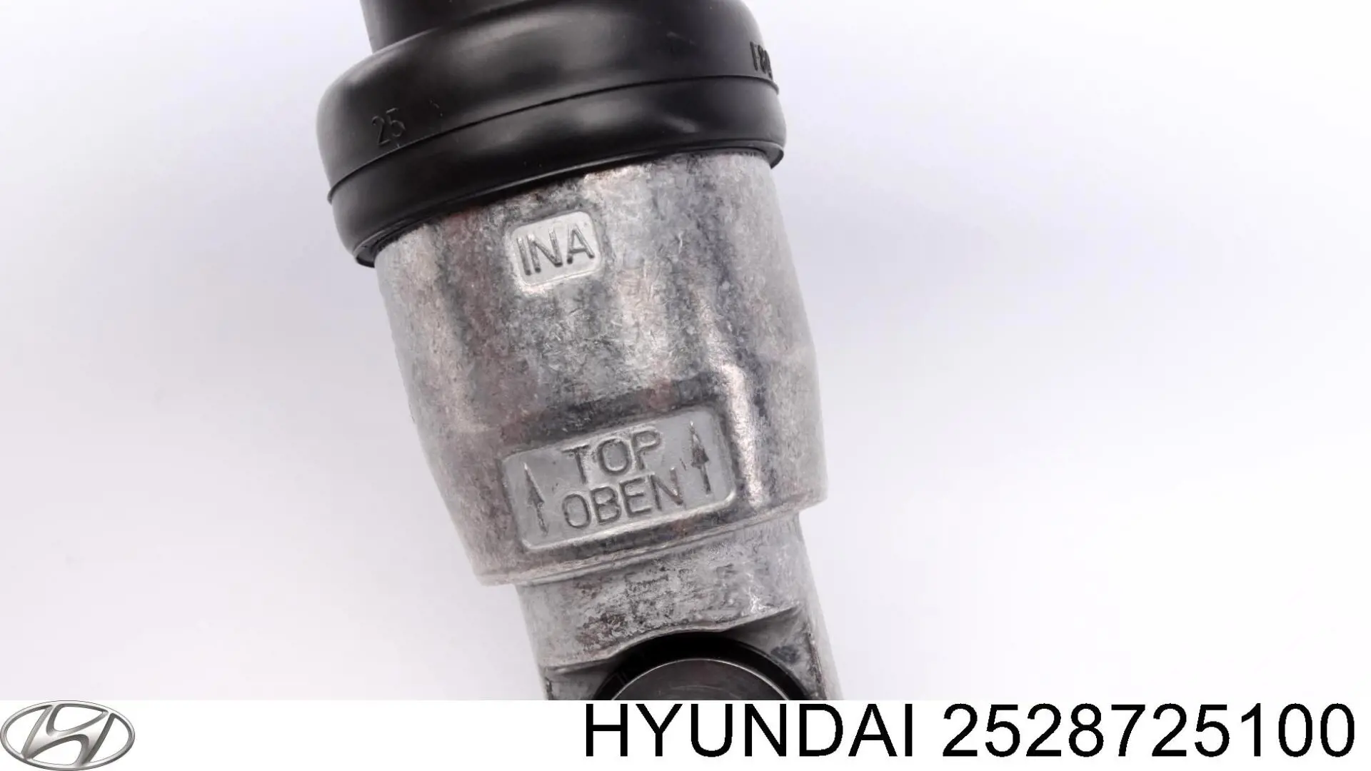 Rodillo guia Hyundai/Kia 2528725100