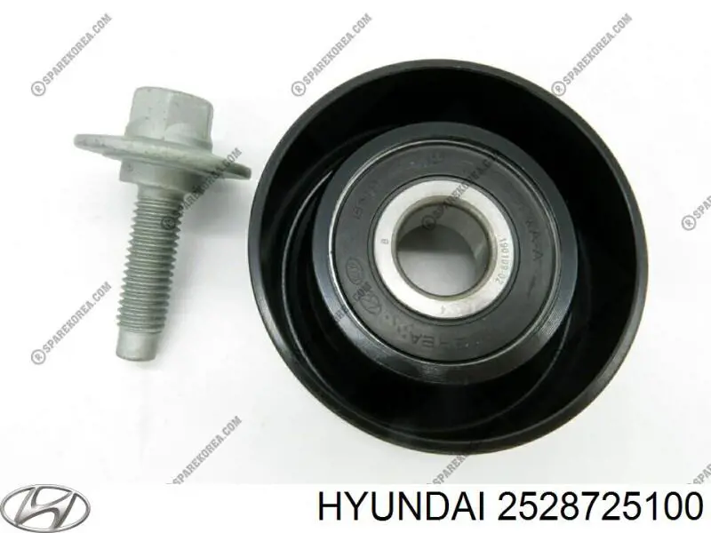 2528725100 Hyundai/Kia Polea guía correa poli V