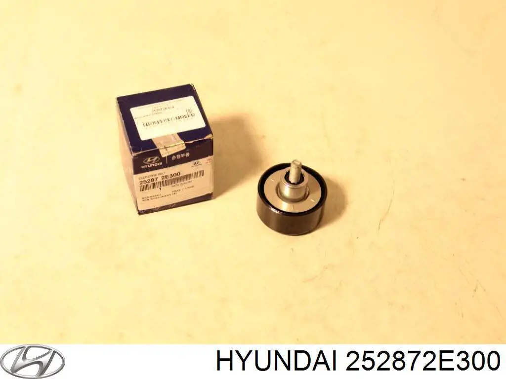 252872E300 Hyundai/Kia polea tensora, correa poli v