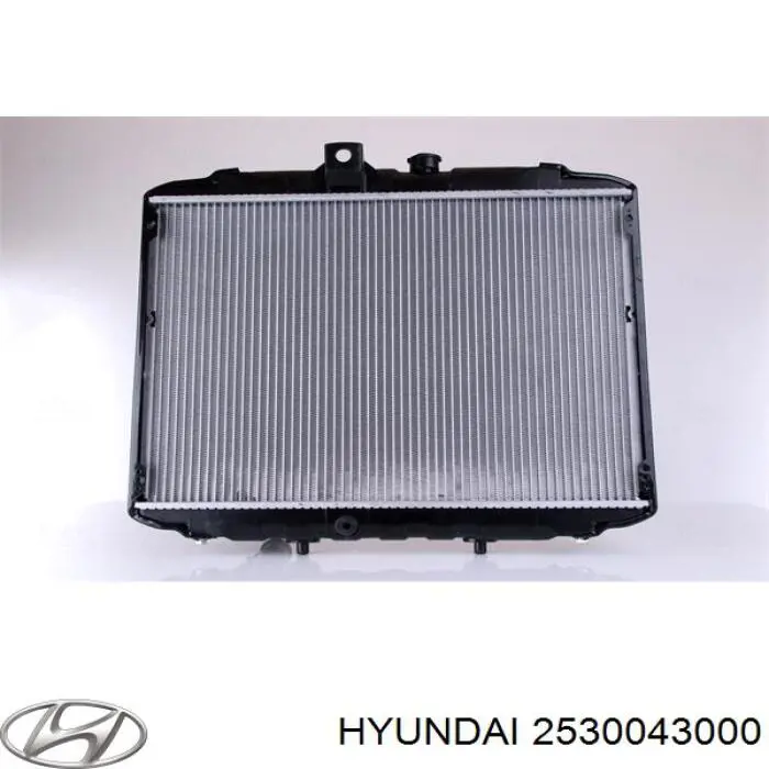 2530043000 Hyundai/Kia radiador refrigeración del motor