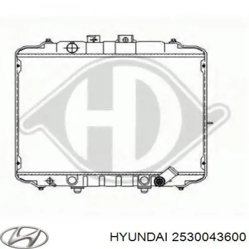 2530043600 Hyundai/Kia radiador refrigeración del motor