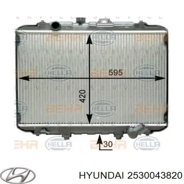2530043820 Hyundai/Kia radiador