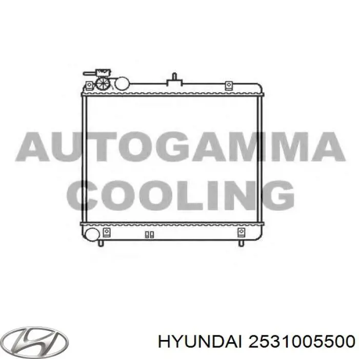 2531005500 Hyundai/Kia