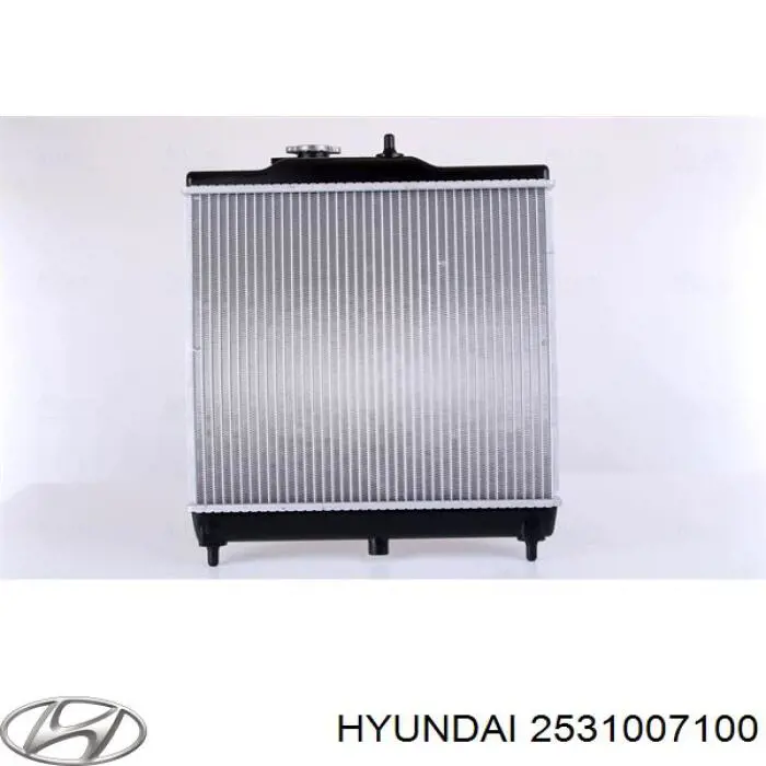 Comprar 2531007100 Hyundai/Kia Radiador de auto