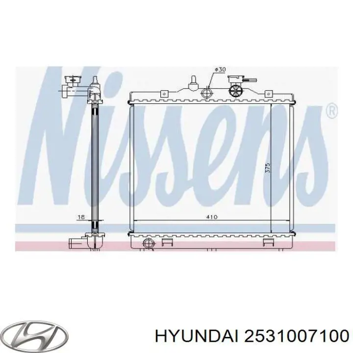 2531007111 Hyundai/Kia radiador