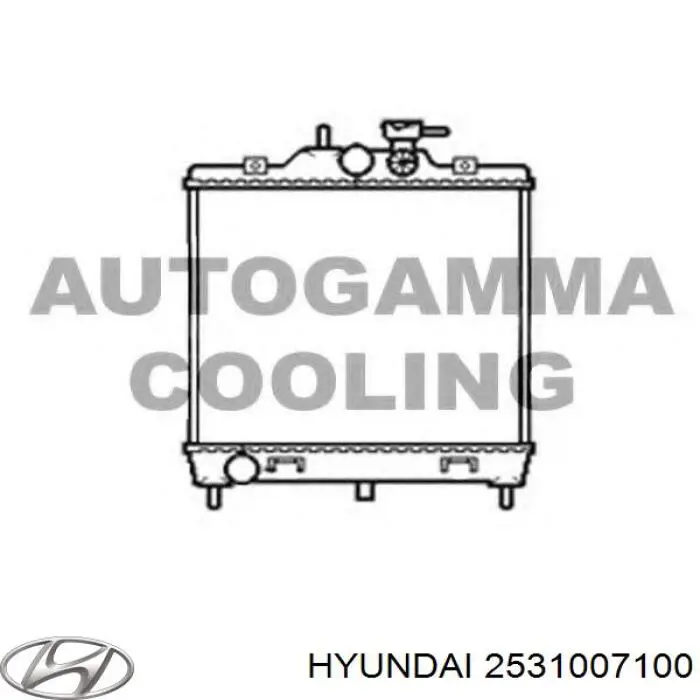 Água radiador Hyundai/Kia 2531007100 precio, desde 90,23 EUR