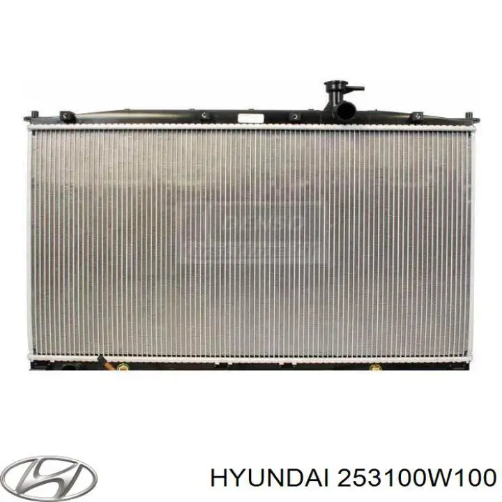 253100W100 Hyundai/Kia radiador refrigeración del motor