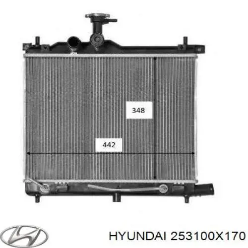 253100X450 Hyundai/Kia radiador